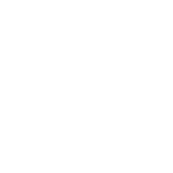 Disaster Icon